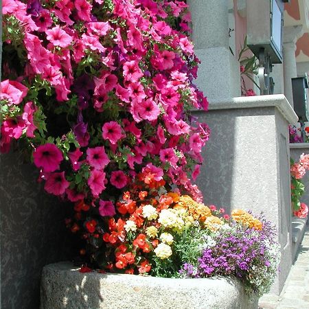 Hotel Sammer Neufelden Екстериор снимка