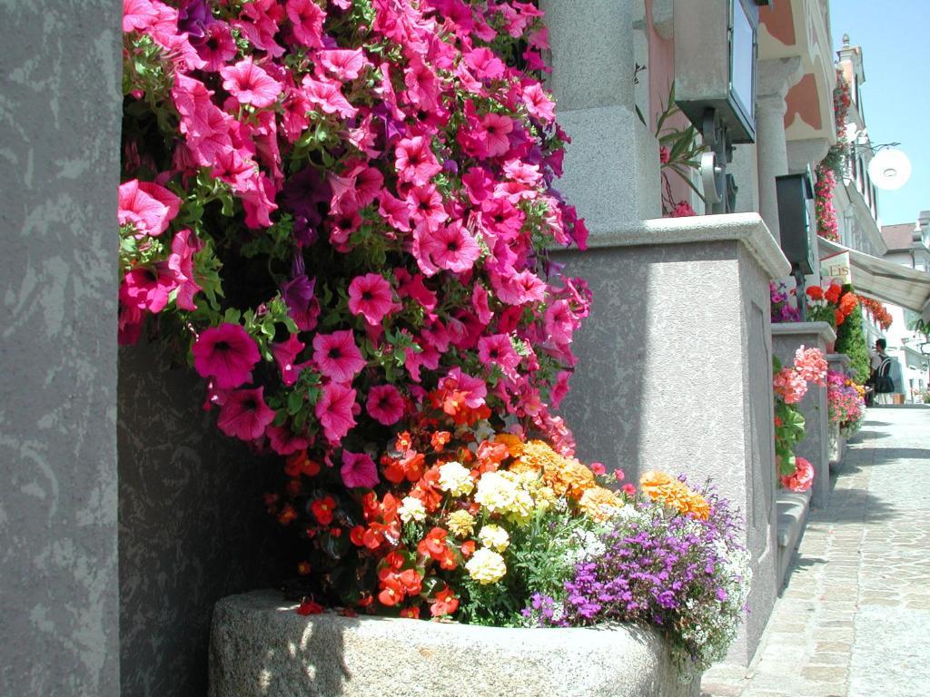 Hotel Sammer Neufelden Екстериор снимка