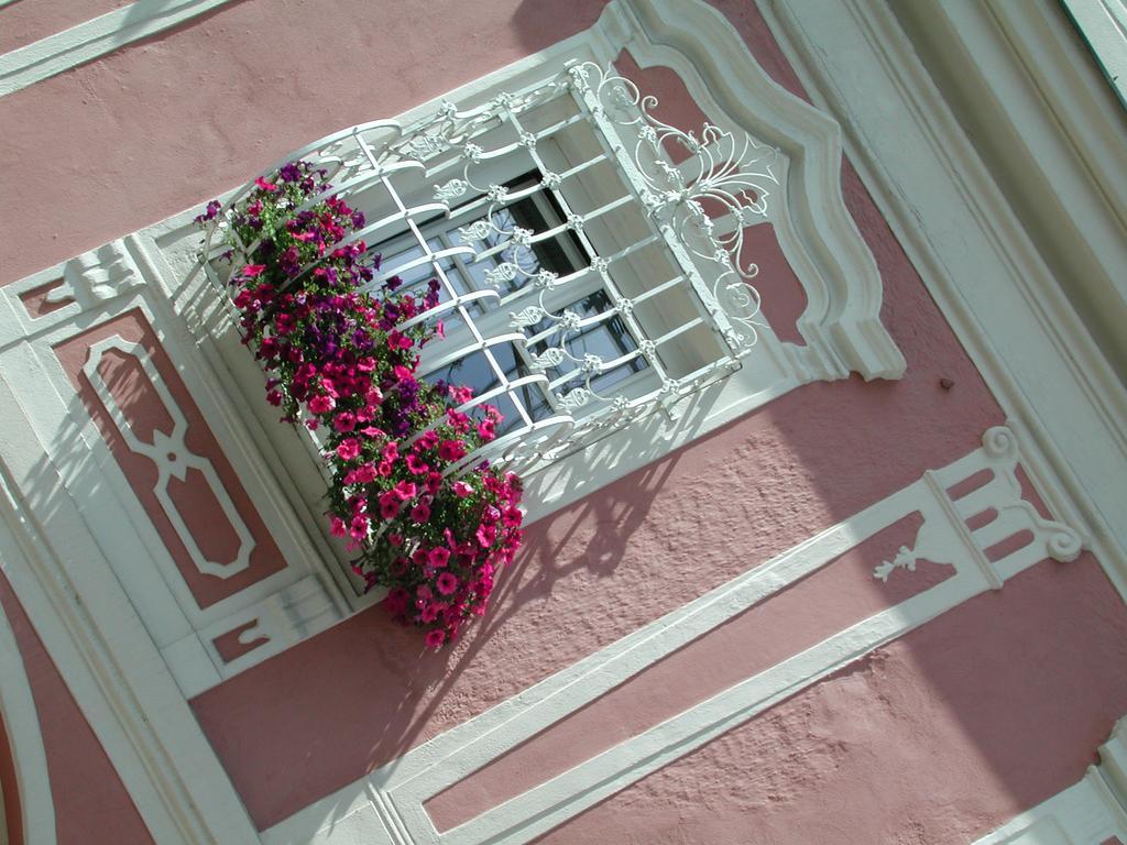 Hotel Sammer Neufelden Екстериор снимка