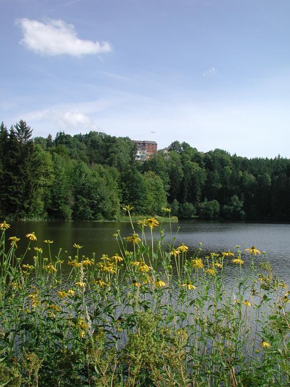 Hotel Sammer Neufelden Екстериор снимка